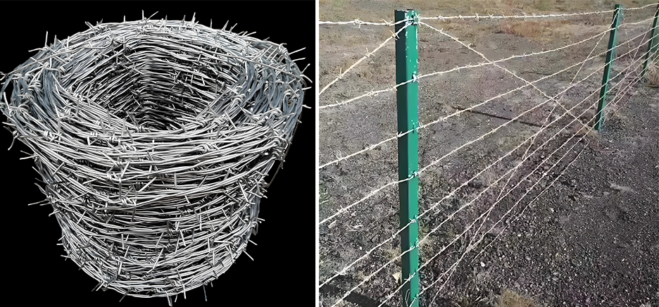 Barbed Wire: A Time-Tested and Versatile Security Solution