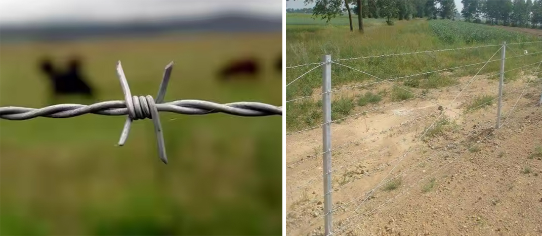 Barbed Wire