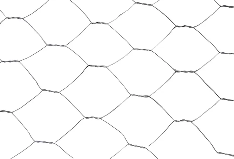 Hexagonal Wire Mesh